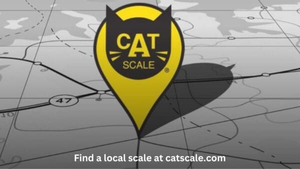 CAT scale
