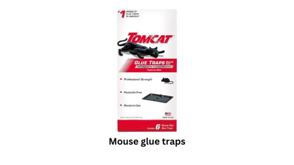 mouse glue traps