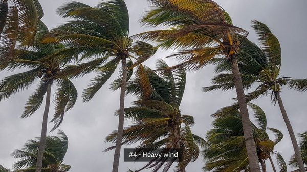 Heavy wind can cause driving problems